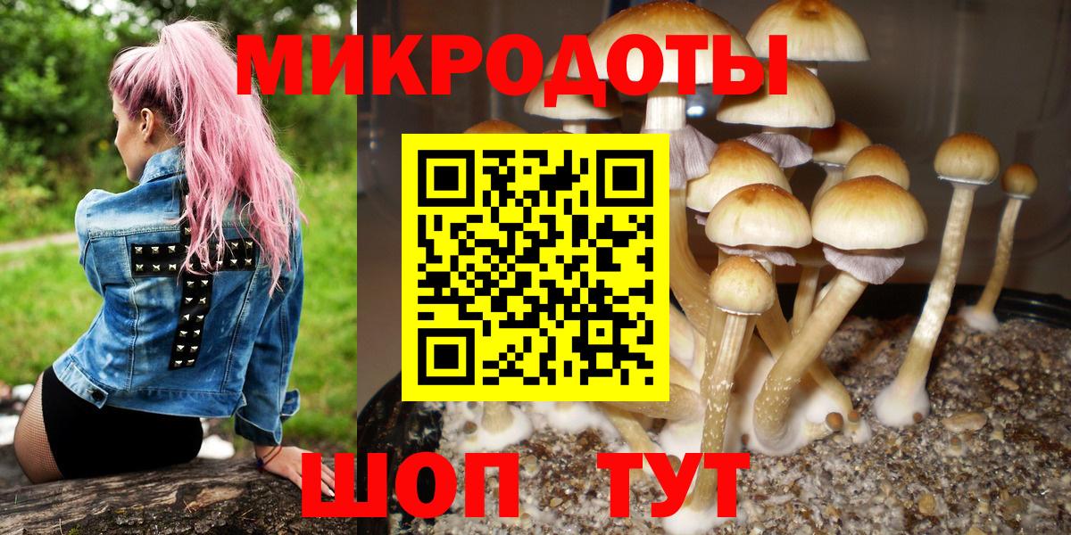 Химки  Псилоцибиновые грибы Psilocybine cubensis  Вход с VPN 